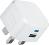 Panther Force 20W Plug with USB-A and Type-C